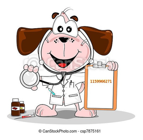 Imagen 1 de 1 de Veterinario A Domicilio Quilmes Berazategui 1159966271