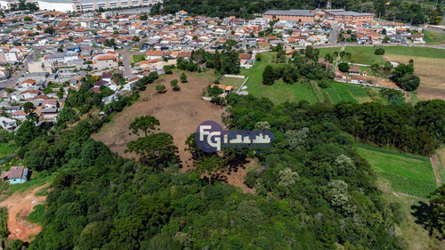Imagem 15 de 30 de Terreno À Venda, 17538 M² Por R$ 3.500.000,00 - Guatupê - São José Dos Pinhais/pr - Te0074
