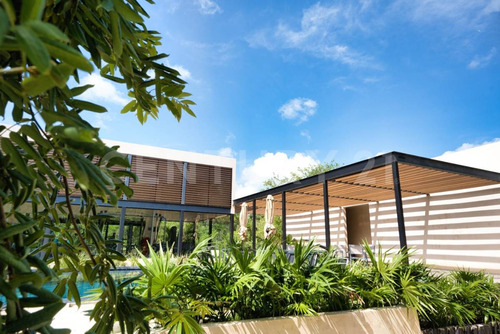 Terreno En Venta, Xpu-ha, Tulum