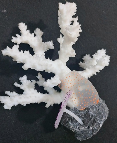 Adorno Coral Silicona 13cm Marino Pecera Polypterama