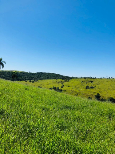 Imagem 5 de 5 de R13- Lotes Direto Com Proprietário