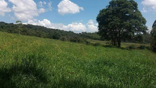 Imagem 6 de 13 de Sítio À Venda, 231800 M² Por R$ 600.000,00 - Belo Horizonte - Pouso Alegre/mg - Si0012