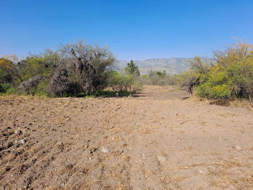 Imagen 5 de 10 de Sitio En Venta No Perimetral, Polo I, Piedra Roja