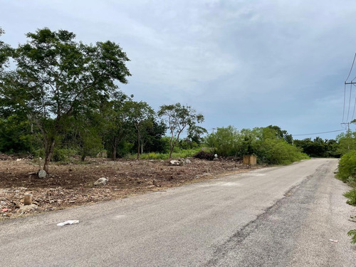 Imagen 3 de 7 de Terrenos En Temozón Con Calle Pavimentada 1, 2 O 3 Lotes Juntos - Temozon Norte