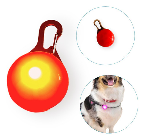 Luz Led Perro Accesorio Collar Mascotas Aplique C Pila