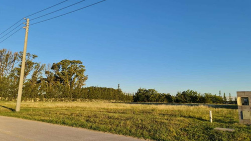 Venta Lote Polo Industrial De Ezeiza, Muy Buena Ubicación