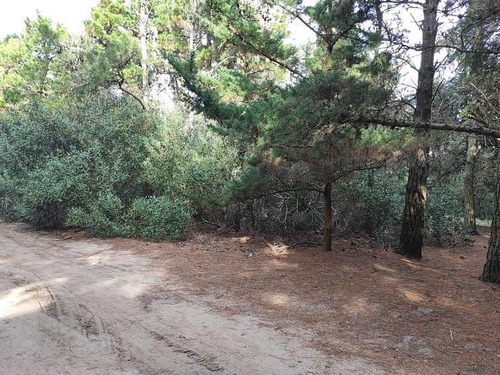 Imagen 3 de 6 de Dos Lotes De 1.350 M2 Totales, Venta Indval/block - Mar De Las Pampas | Cod.0688 |