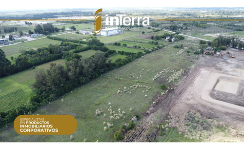 Predio Industrial Logístico Venta Montevideo Felipe Cardoso