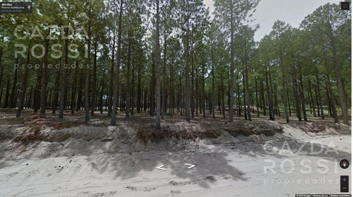 Imagen 1 de 3 de Terreno - Pinamar