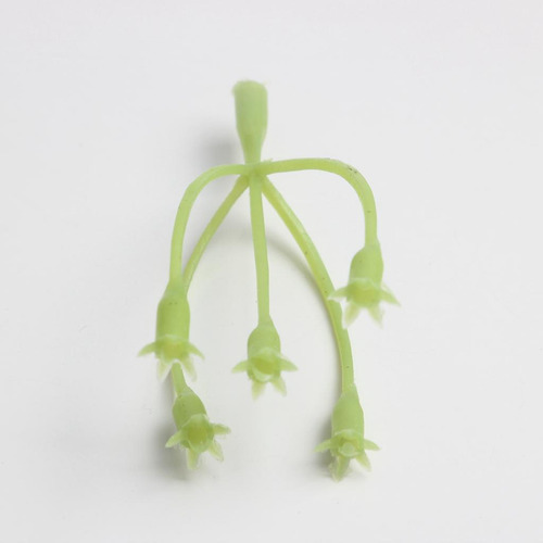 20 Piezas De 7 Cm De Plástico Soporte De Tallos De Flores