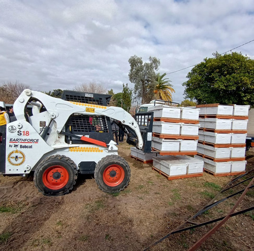 Imagen 1 de 17 de Minicargadora Bobcat S18 (earthforce) - Desde
