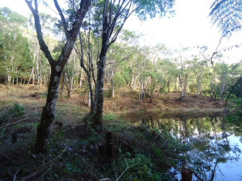 Imagem 7 de 10 de Lindo Terreno Com Lago Ref 874