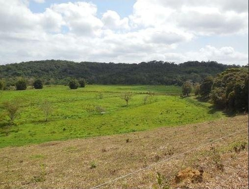 Imagem 4 de 6 de Fazenda - Fa00001 - 69012641