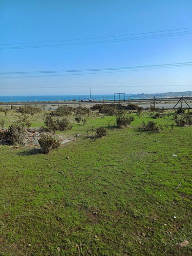 Parcela En Quilimari Pichidangui (172955)