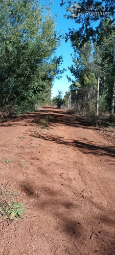 Parcela Con Espacio Para Almacenamiento En Arriendo, Parral