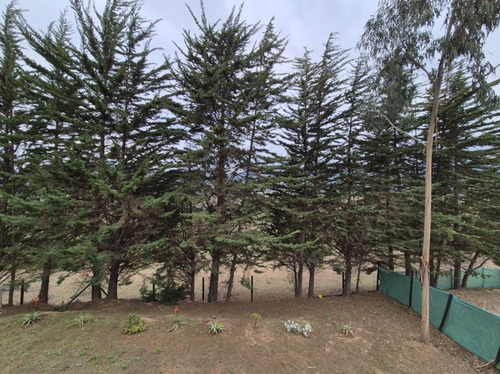 Casa 4d 2b, Condominio El Claro, Maitencillo