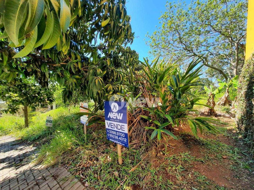 Imagem 4 de 9 de Terreno À Venda, 300 M² Por R$ 170.000,00 - Encosta Do Sol - Estância Velha/rs - Te1128