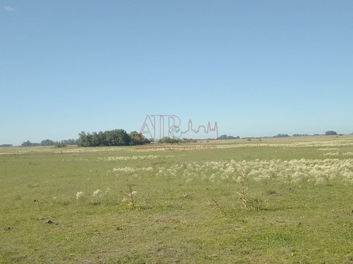 Imagen 14 de 15 de Venta,de Importante Campo En Roberto. J. Payro, Partido De Magdalena.