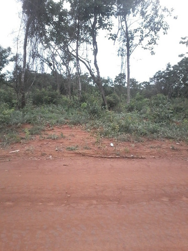 Imagem 1 de 19 de Chácara À Venda, Marilandia - Marilandia/mg - 18420