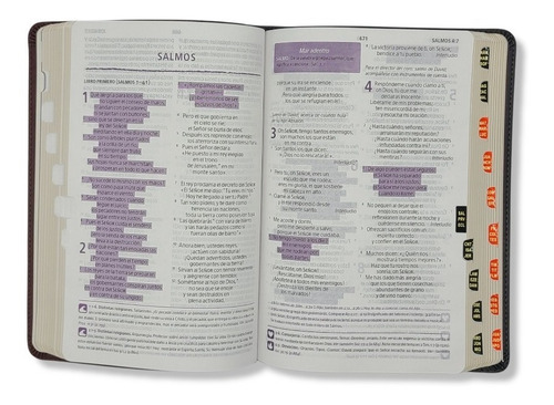 Imagen 9 de 9 de Biblia Del Pescador Ntv Piel Marrón Con Indices