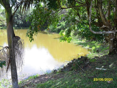 Imagem 7 de 14 de Excelente Chácara Com Lagos Cod: 4412