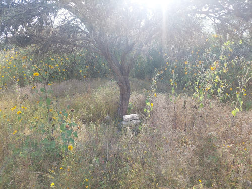 Remato !!!gran Oportunidad! Terreno Para Construir, Construye A Tu Gusto.