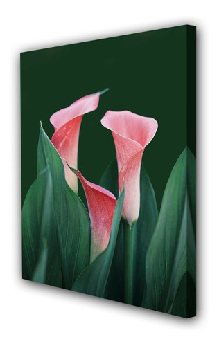 Cuadro 60x90cm Lirio Cala Planta Flora M3