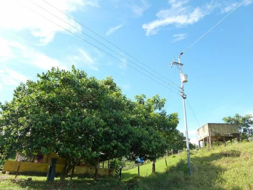 Imagen 4 de 9 de Finca En Venta En Santa Bárbara