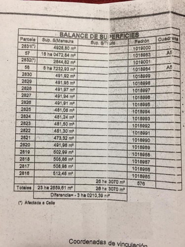 Imagen 14 de 14 de Terrenos En Venta En San Luis