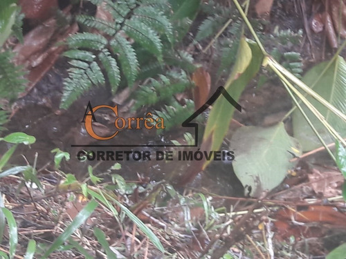 Terreno Com Nascente E Boa Topografia Em Juquitiba-sp