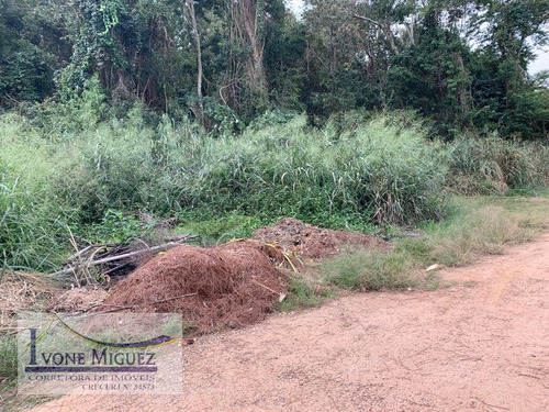 Imagem 3 de 6 de Terreno Em Barão De Javary - Miguel Pereira - 3308