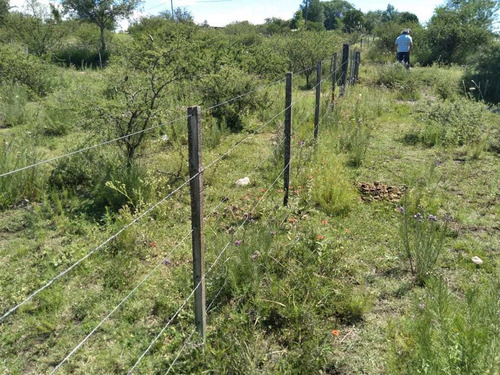 Lote De 10.000 M2 Alambrado, Listo Para Construir