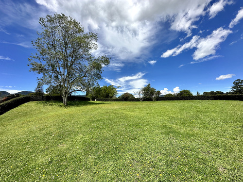 Venta De Lote En El Carmen De Viboral