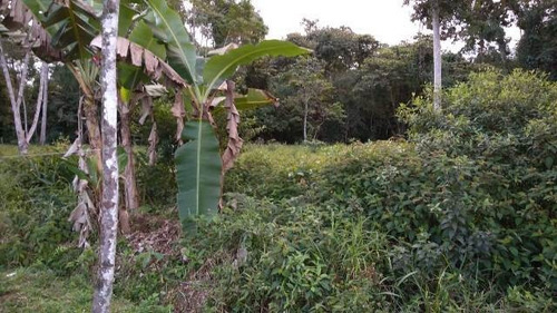 Terreno No Litoral Sul, Com 1000 M² Em Itanhaém/sp 4445-pc