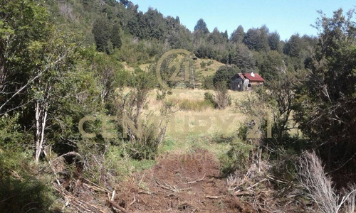 Imagen 7 de 14 de Espectacular Campo En Estero Plateado