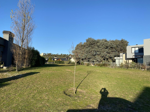 Imagen 9 de 12 de En Venta Lote 284 Arenas Del Sur.