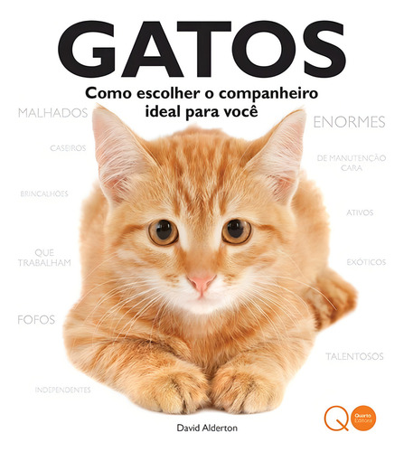 Gatos : Como escolher o companheiro ideal para você, de Quarto Publishing. Editorial Quarto Editora, capa mole em português, 2016