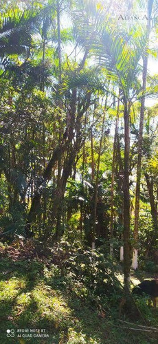 Imagem 22 de 27 de Linda Chácara Fundo Para Represa, 4440 M² Por R$ 700.000 - Parque Das Garças - Santo André/sp - Ch0031