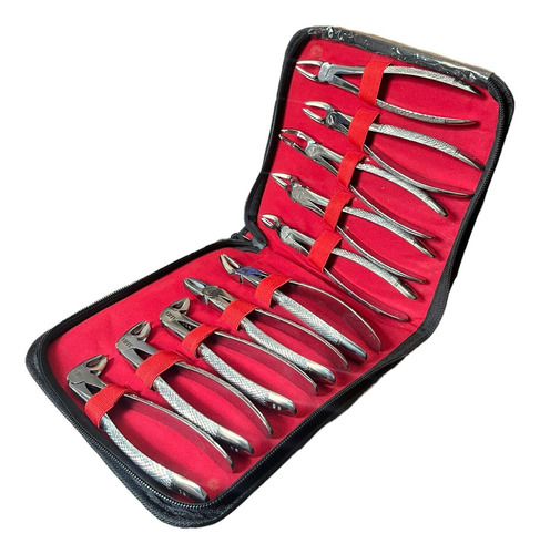 Kit De 10 Forceps Dentales De Adulto Para Extraccion Dental