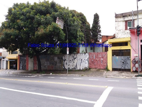 Imagem 3 de 3 de Terreno - Te00001 - 68541184