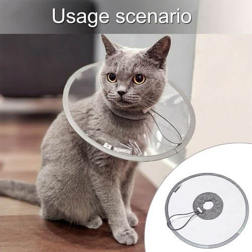 Collar De Recuperación (m), Cono Protector Para Perros Y Gat