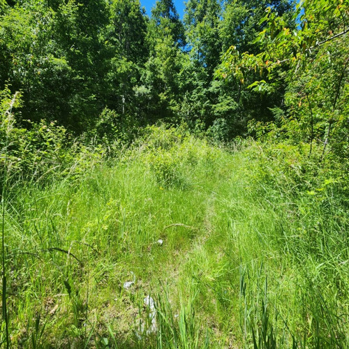 Se Vende Terreno En Pucon