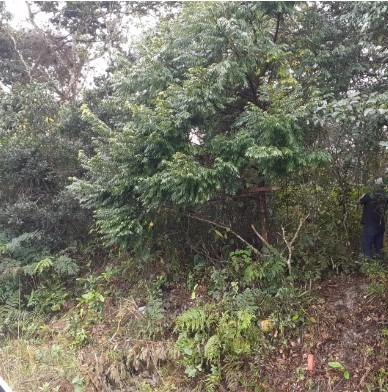 Terreno Perto Da Pista De 300 M² Em Itanhaém | Entrada 7 Mil