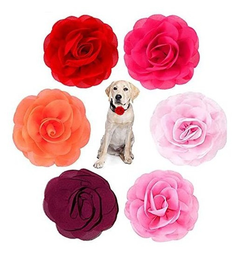 Pet Show Pack Of 6pcs Perro Collar Bows And Flowers B41nq