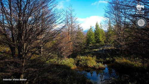 Imagen 5 de 8 de Parcela En Venta En Rio Baker, Cochrane, Carretera Austral