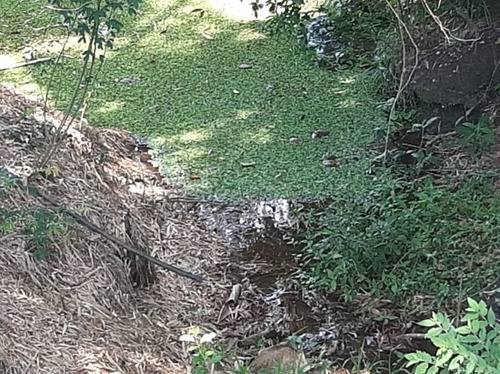 Imagem 19 de 27 de Chácara Com 2 Dormitórios À Venda, 10000 M² - Bairro Da Barra - Sarapuí/sp - Ch0534