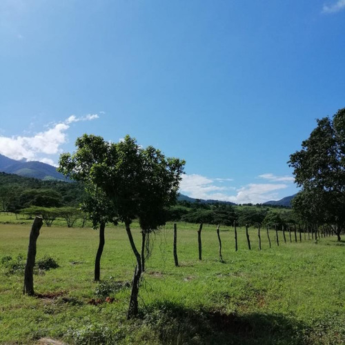 Lote En Venta En Los Patios La Garita