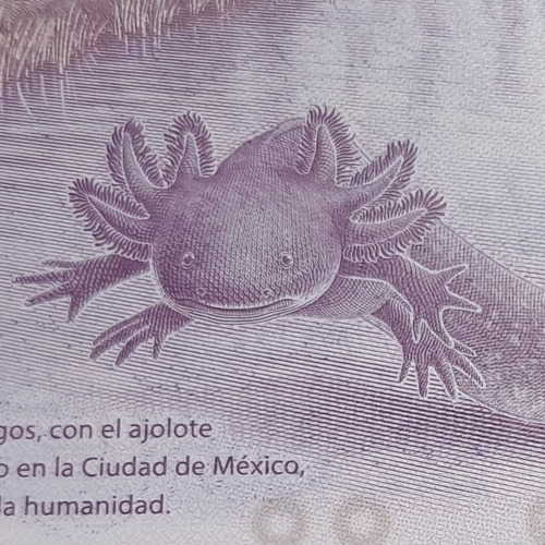 Billete $50 Pesos Ajolote Serie Ag Con Error De Impresión