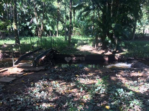 Imagem 16 de 18 de Quer Comer Fruta No Pé? Ganhar Dinheiro Com Cultivo Ou Criação De Animais? Ou Só Descansar! Achou O Local Certo!!! - Si0010