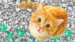 Piedras Sanitarias Para Gatos 4 Kgs